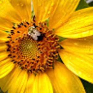 Meet your Posher, Eva